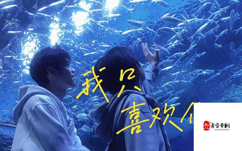 直到遇见了你我只喜欢你，这首情歌究竟有何魔力？