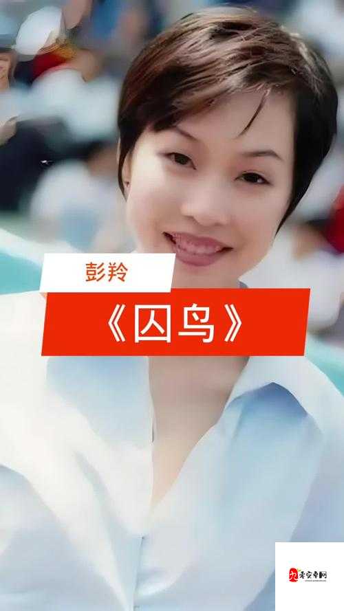 我像是一个你可有可无的影子，探寻歌曲背后的情感共鸣