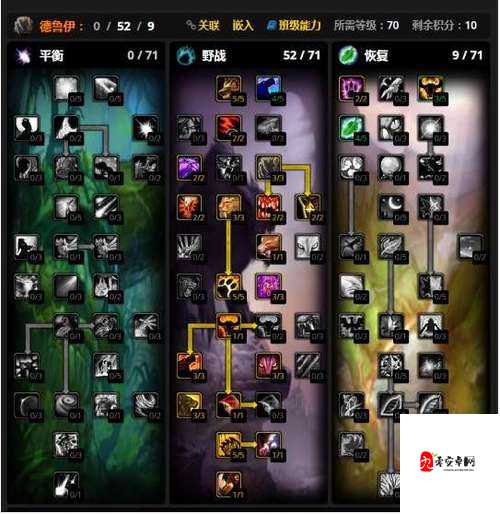 怀旧服种族天赋，资源管理中的关键要素与高效利用策略