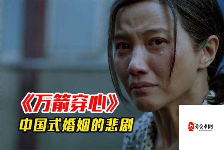 我不怕万箭穿心是什么歌的深度解析与价值应用