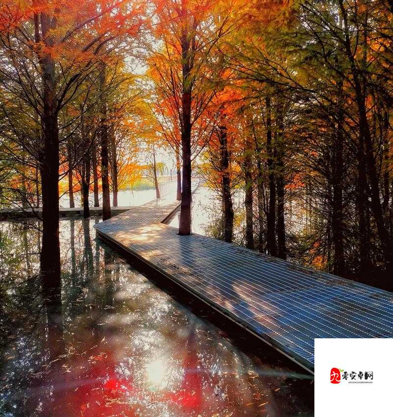 岁月画卷轻展，梦醒时分是哪曲悠扬？