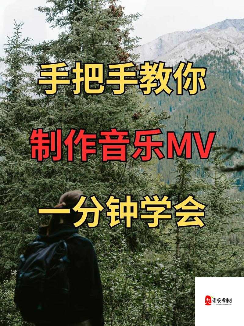 抖音音乐播放器视频制作全攻略，打造你的音乐盛宴