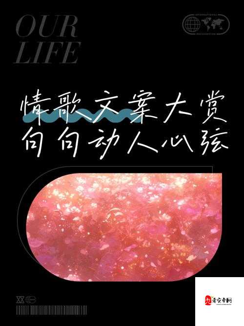 用这一生一世一期一会的相遇，是哪首动人情歌？