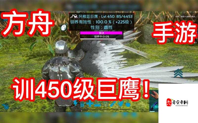 方舟手游，揭秘阿根廷巨鹰的高效驯服秘籍