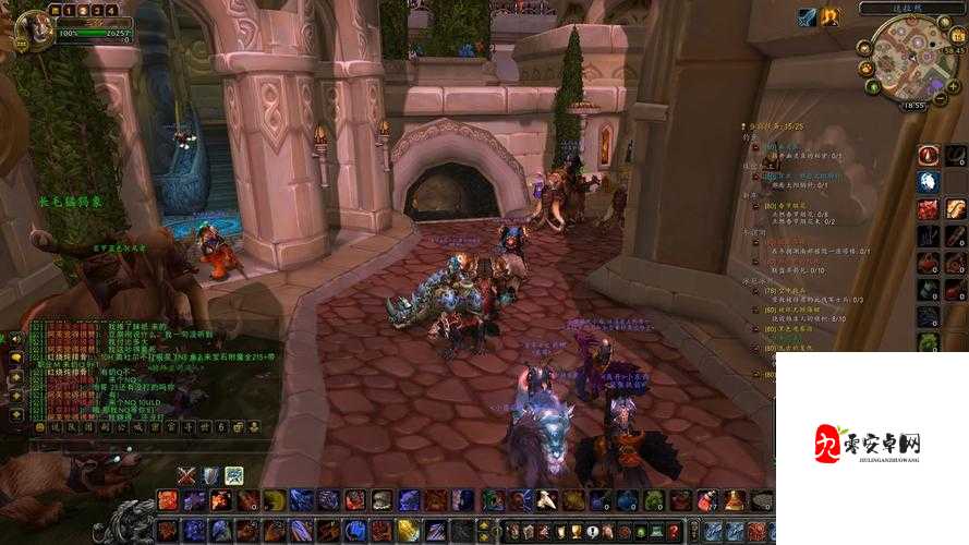 魔兽世界怀旧服，应对你已断开连接的资源管理艺术