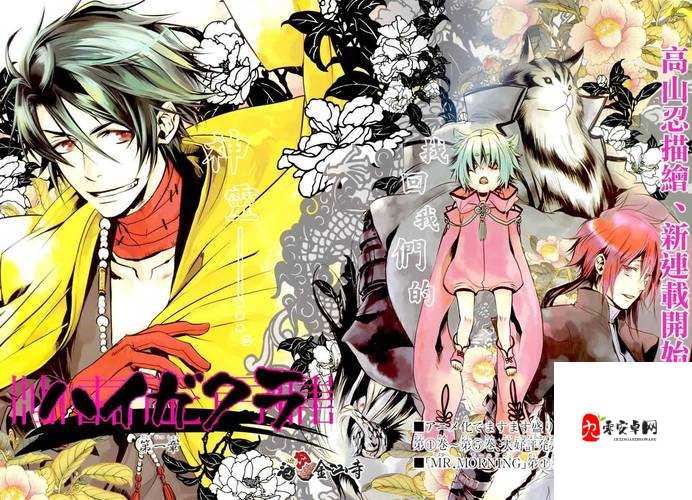 伊洛纳法师的信仰之谜，探寻他们心中的神祇