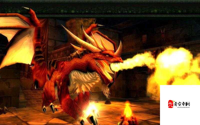 魔兽世界怀旧服红龙宝宝在哪刷，资源管理、技巧与最大化价值