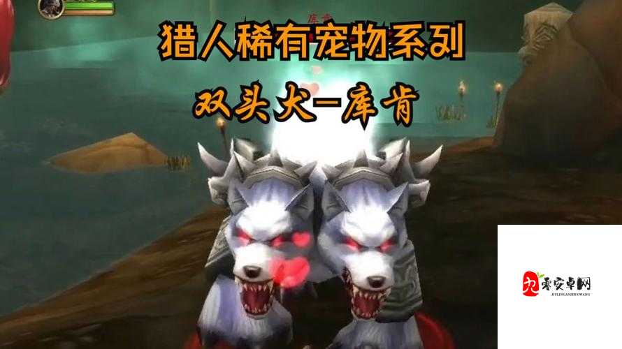 魔兽世界怀旧服怎么去达纳苏斯，资源管理、高效利用与最大化价值