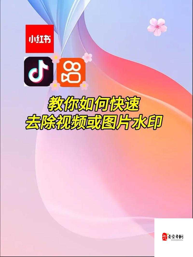 抖音去除水印保存，资源管理的新视角与实践