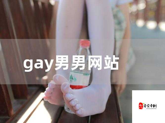 CHINESE 国产男男 GAY 片：探索中国同志电影的独特魅力