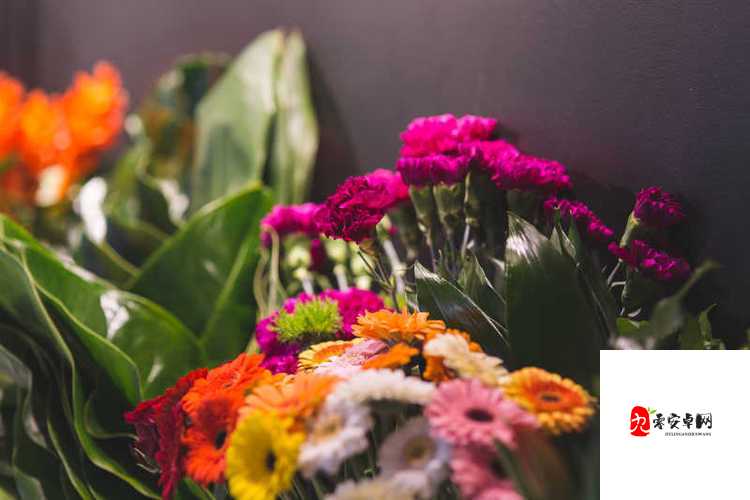 花店静默，花朵却绽放不息，生命之美的坚韧与希望