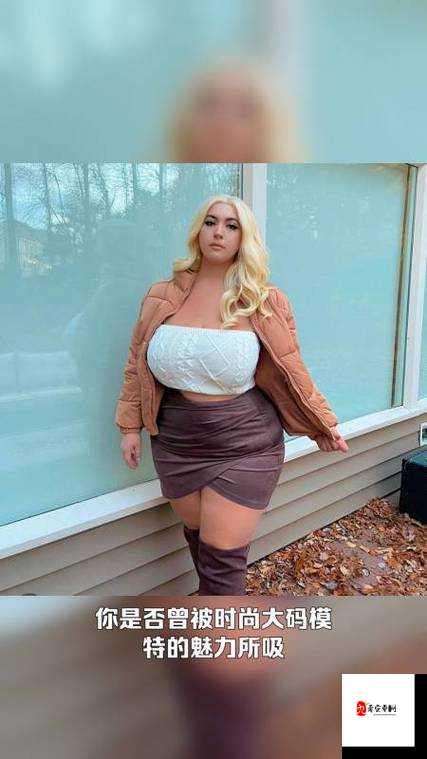 俄罗斯大肥 BBXX 的独特魅力与精彩呈现