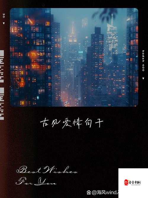 喜欢，在一朝一夕间定格成永恒