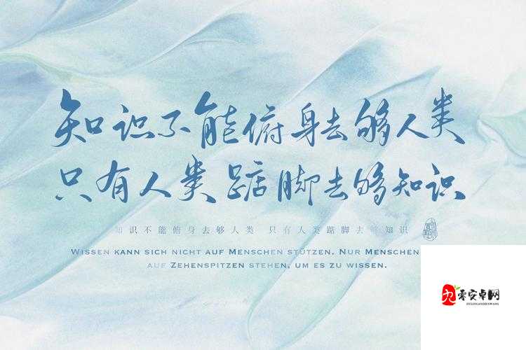 人间理想与人间妄想的壁纸，资源管理的艺术