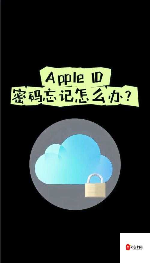 安全教育平台账号遗忘？别急，三步找回你的学习之旅！