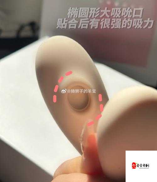 小尾巴玩具嵌入式怎么戴上的：详细步骤与技巧分享