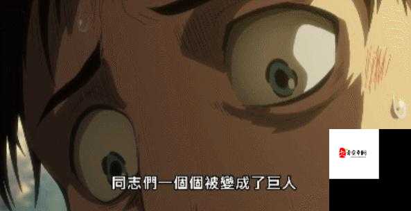 坤吧塞小洞事件引发的深刻思考与探讨