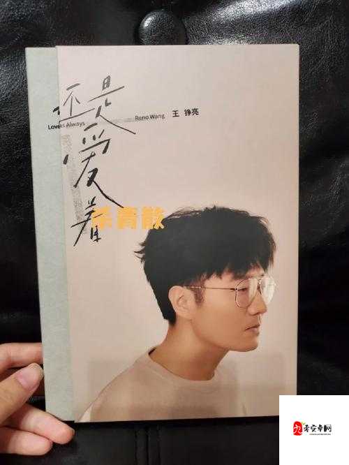 我还没用力你怎么那么痛什么歌：探寻其背后的深意