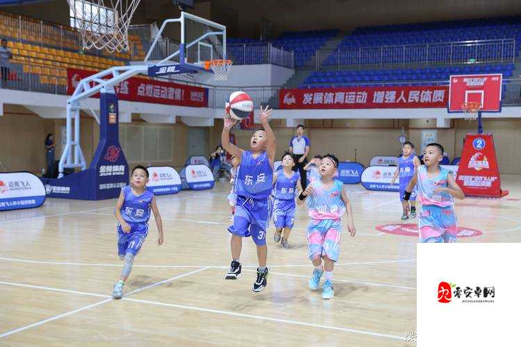 Nbaoffice68 ：探索无限可能的精彩篮球世界之旅