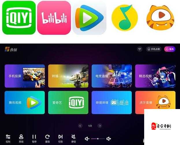 免费进入 B 站哔哩哔哩的好处：畅享多元娱乐资源提升生活乐趣