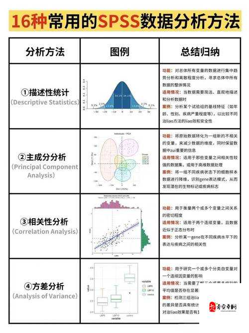 一个 0 被 3 个 1：关于这一独特组合的深入探讨与分析