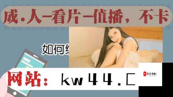 成人️羞羞在线观看网站：畅享私密精彩视频资源