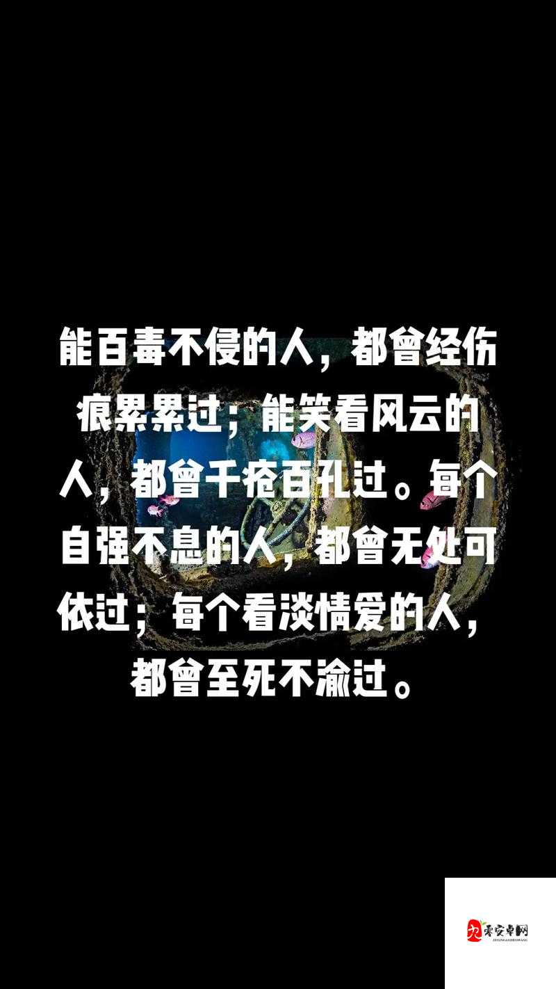 从伤痕到铠甲，解锁能百毒不侵的人都曾经伤痕累累手机壁纸的深层含义