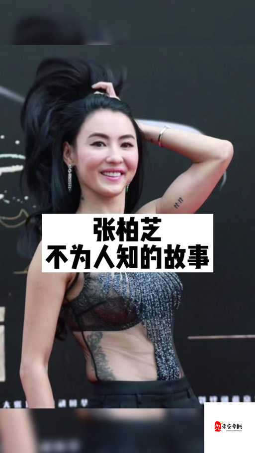 张柏芝与色综合亚洲色综合久久网的那些不为人知的故事