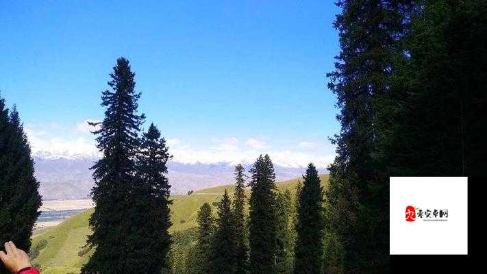 欧美牧场 ZZZZ0000 性受背后的神秘故事