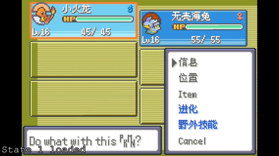 伊洛纳奇遇，揭秘小妹妹的捕捉秘籍