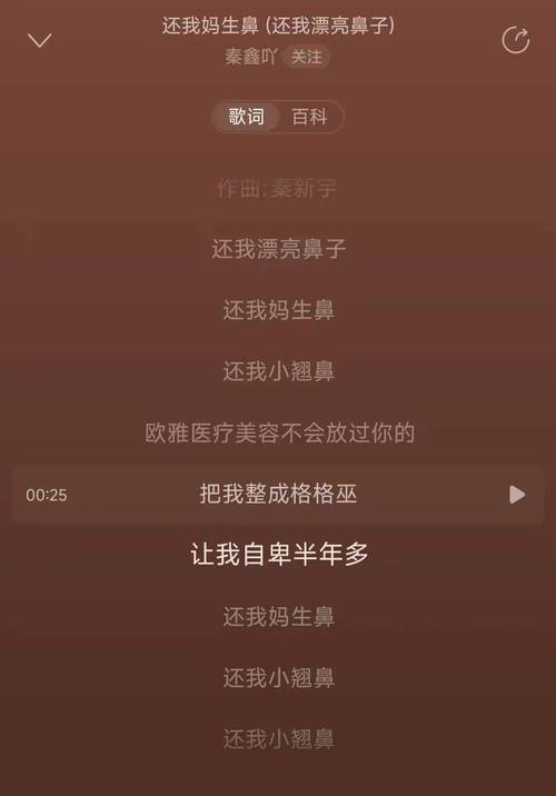 抖音一个我需要梦想需要方向需要眼泪歌词，在资源管理中的隐喻与策略