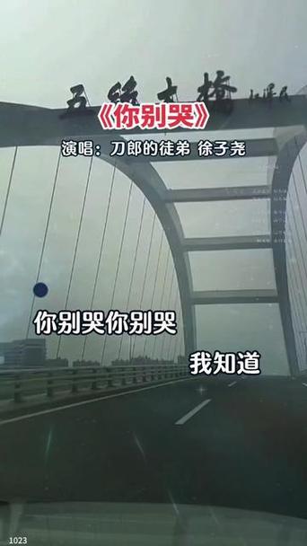 抖音热门歌曲你别在这睡你怎么哭着脸探析，资源管理、高效利用与避免浪费