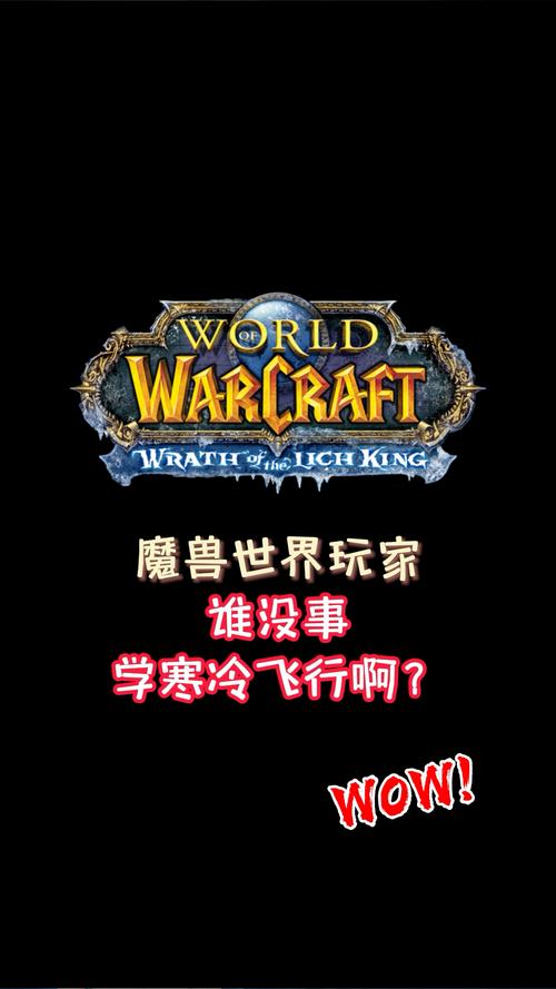 魔兽世界怀旧服，大号带小号，经验之谜与策略探索