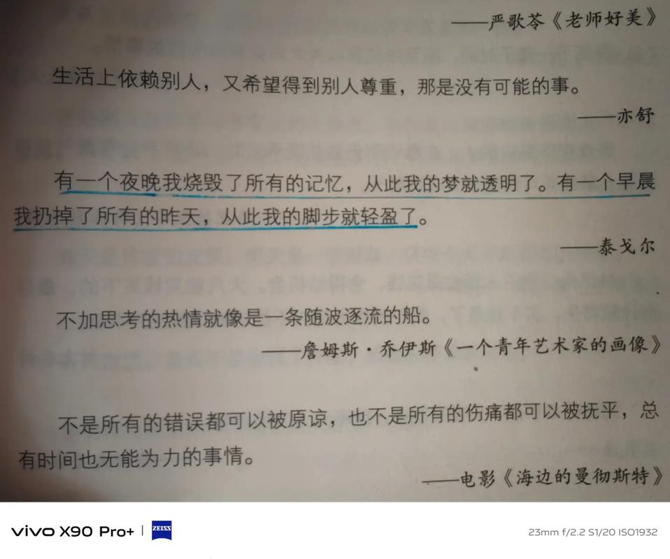 抖音热曲揭秘，那句也许迷途的惆怅会扯碎我的脚步究竟出自何方？