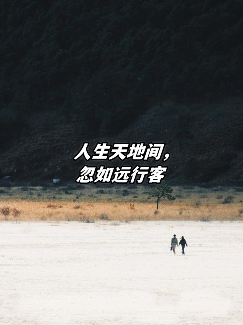 人生旅途，过客匆匆，何须执念于心间画卷