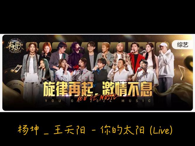 抖音你与太阳挥手是什么歌，资源管理、高效利用与价值最大化