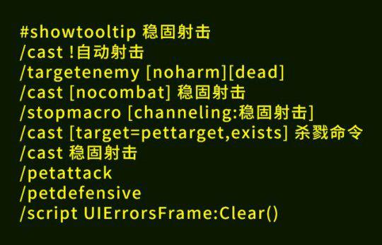 魔兽世界怀旧服盗贼宏命令的深度解析与应用