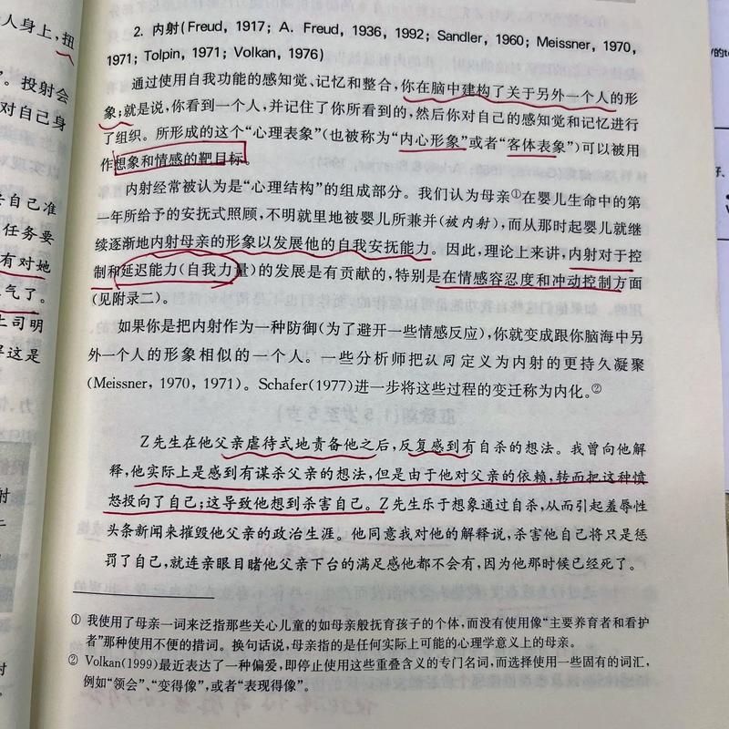 大力内射：探索其独特魅力与深远影响