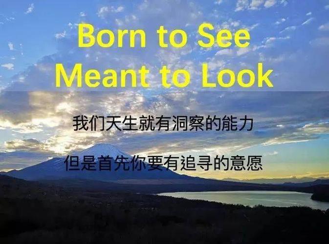 99 插插带来的别样体验与思考