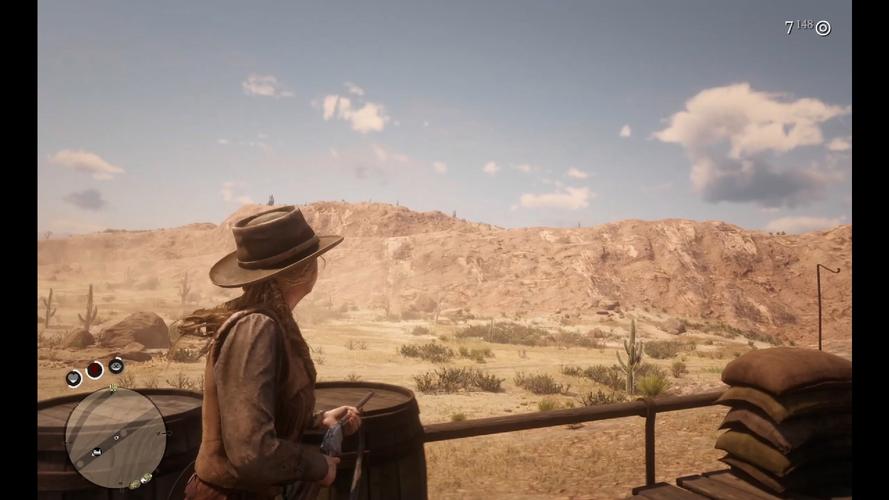 荒野大镖客 2 欧美版：独特西部风情与精彩冒险的极致呈现