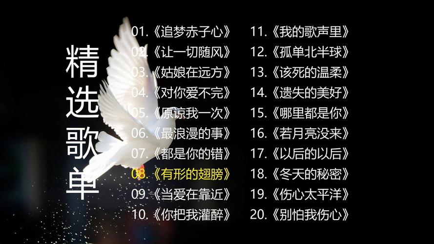 抖音热曲探秘，你总是把银簪插在太阳上面是什么歌？