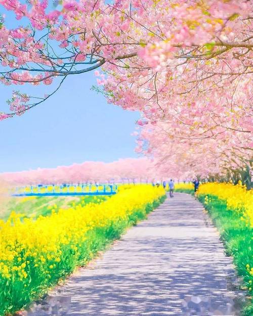 众口难调，但笑容是最美的风景线——从一张图片说起