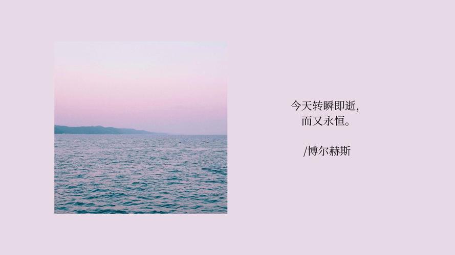 那一抹告别，藏在壁纸里的永恒瞬间