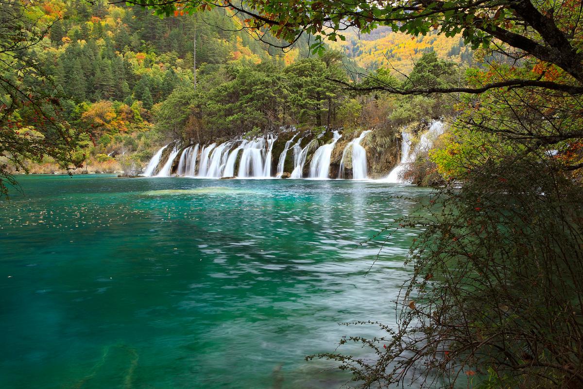 小鸡宝宝考考你，世界自然遗产九寨沟位于中国哪个省？在资源管理中的重要性及高效利用策略