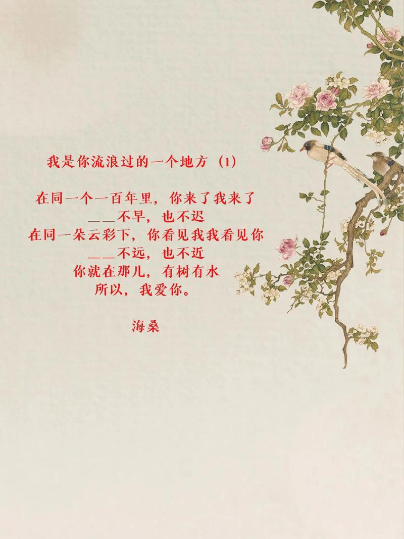 抖音我带着天真去流浪是哪首歌，资源管理与价值最大化