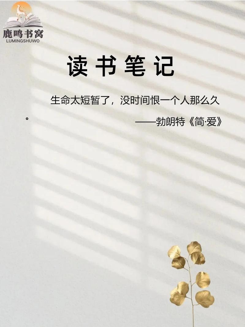 跨越内心的障碍，当自尊与经验碰撞时