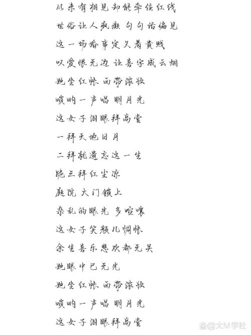 抖音热门歌词揭秘，谁的苦酒敬月光究竟是哪首歌？