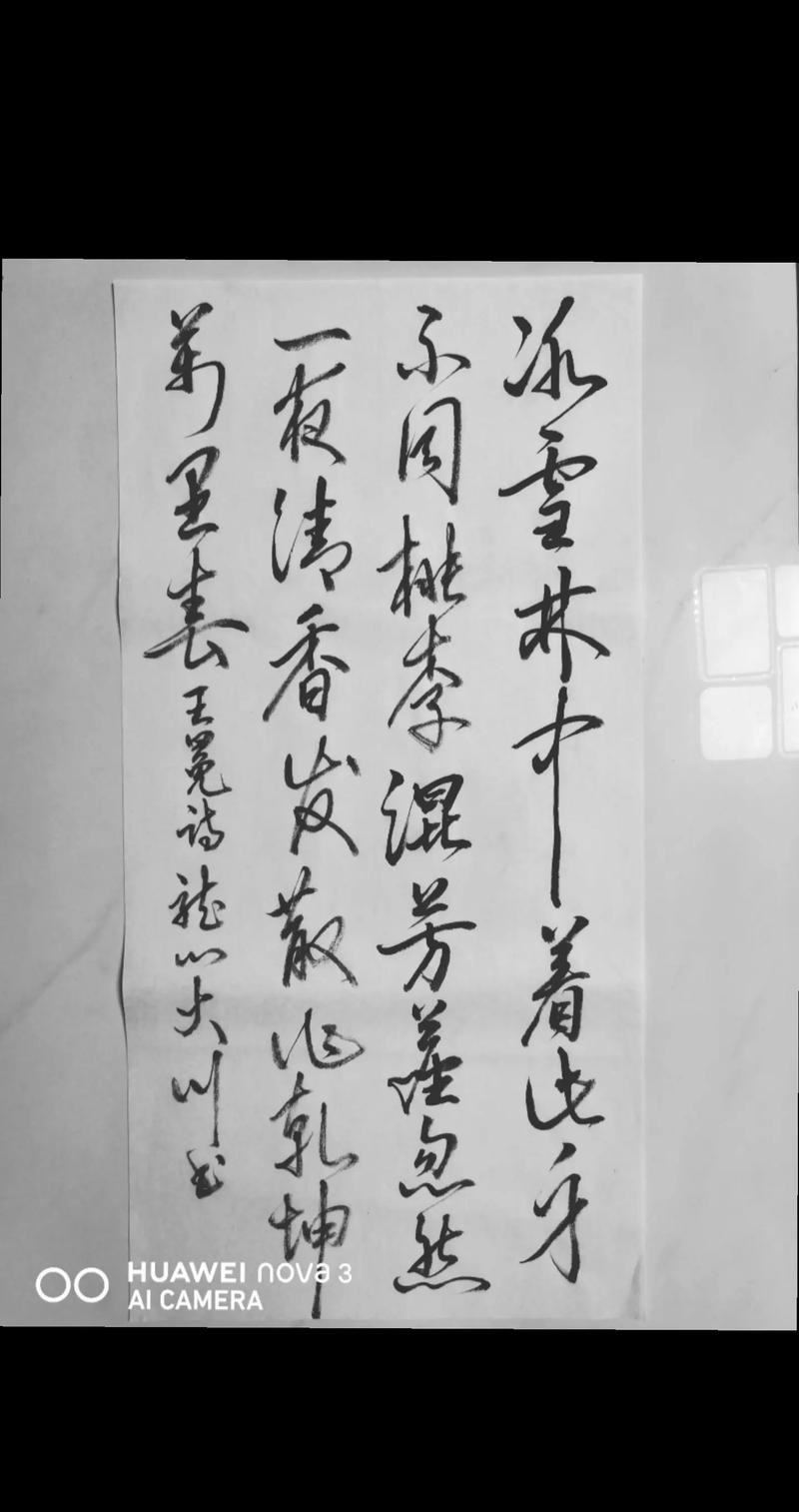 抖音热门古风曲烟笼长安，岁月匆匆，故人难寻