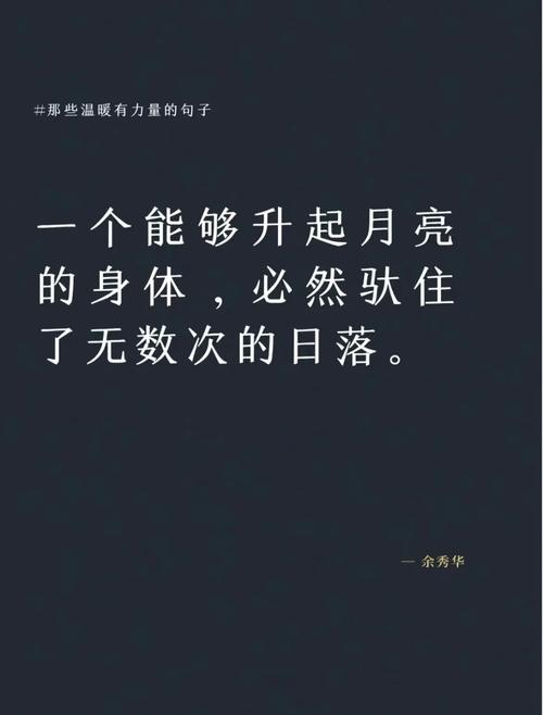 孤影中的光芒，解读没有依靠只剩骄傲的坚韧之美