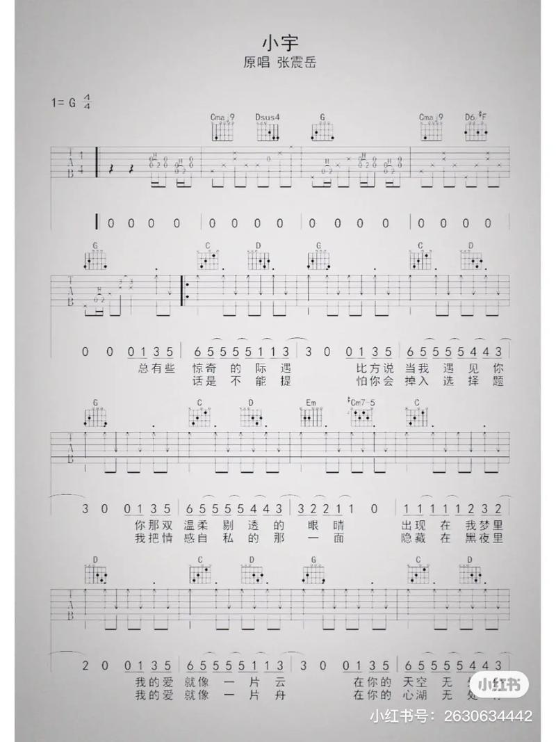 抖音总有些惊奇的际遇歌词，在资源管理中的奇妙应用与策略